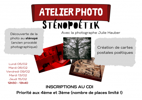stenope.png Thumbnail
