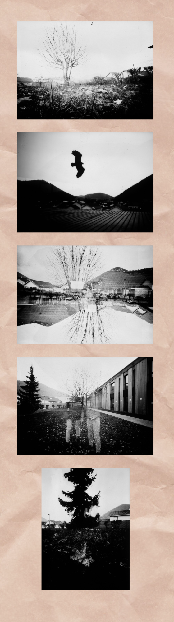 image_site_du_clg.png Thumbnail